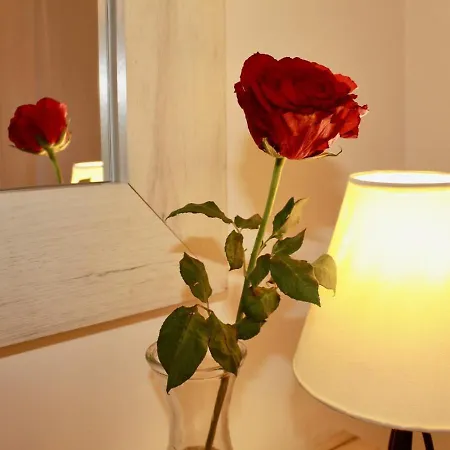 Apartament Queen