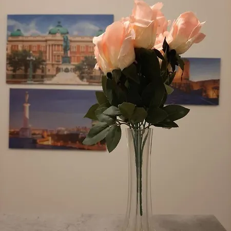Queen Apartament